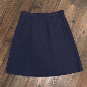 Theory Skirt